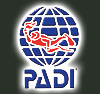 logoPadi02